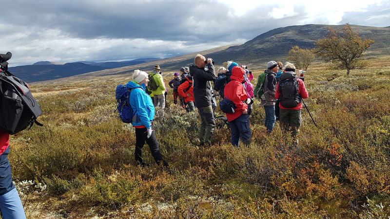 På moskussafari